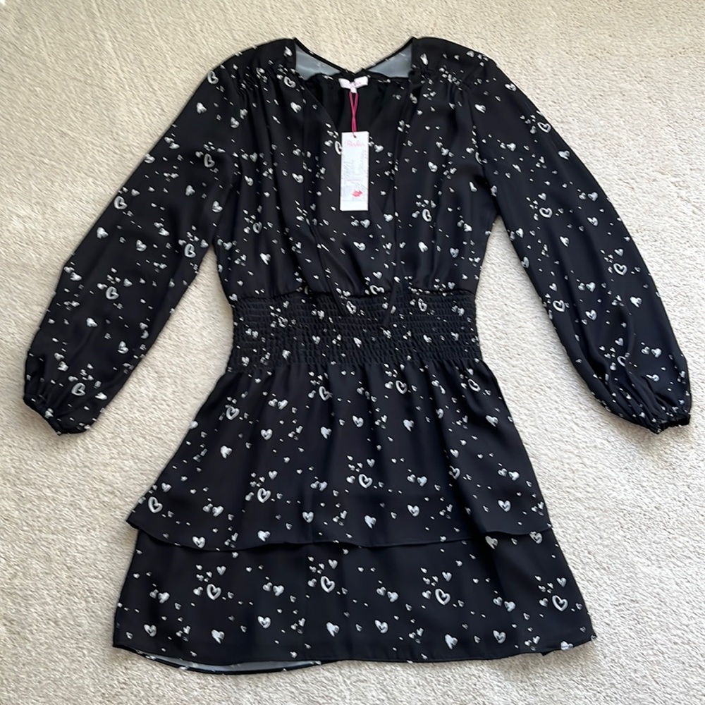 NWT Parker long Sleeved Dress